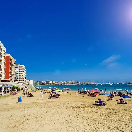San Miguel 1/8 Torrevieja
